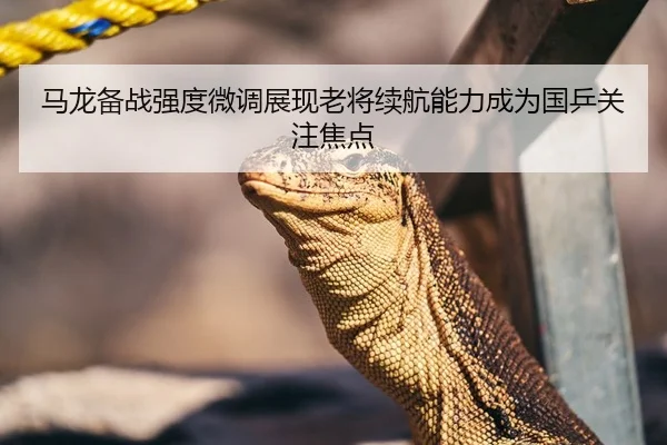 马龙备战强度微调展现老将续航能力成为国乒关注焦点