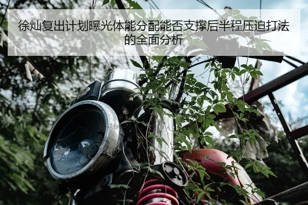 xu-can-fu-chu-ji-hua-bao-guang-ti-neng-fen-pei-neng-fou-zhi-cheng-hou-ban-cheng-ya-po-da-fa-de-quan-mian-fen-xi-1-128.jpg