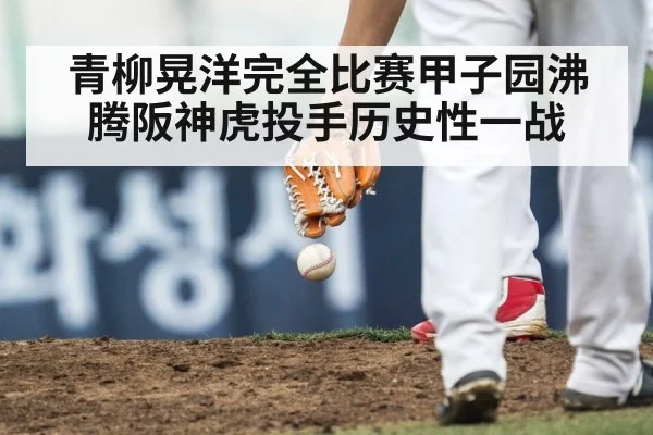 青柳晃洋完全比赛甲子园沸腾阪神虎投手历史性一战